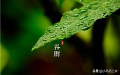 谷雨，农村俗语“谷雨难