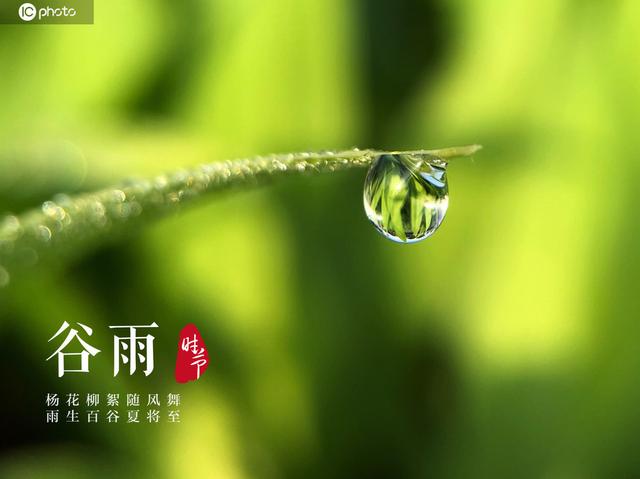 今天，谷雨，春季的最后一个节气