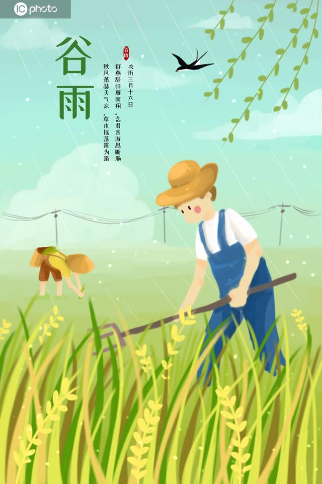 今天,谷雨,春季的最后一个节气
