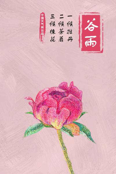 谷雨来临,春止,夏将至