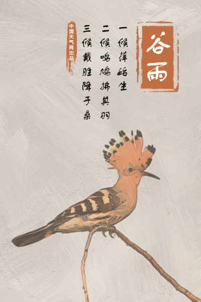 谷雨来临,春止,夏将至