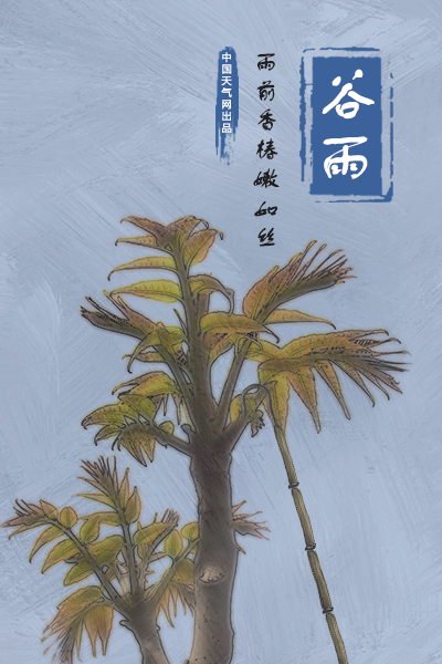 谷雨来临,春止,夏将至
