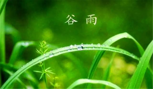 农村俗语"谷雨前后一场雨,胜似秀才中了举"谷雨下雨有什么说法