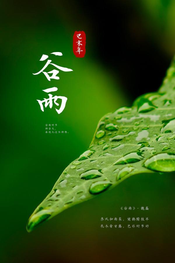 谷雨下大雪,问题来了——你的家乡什么时候真正进入谷雨时节?