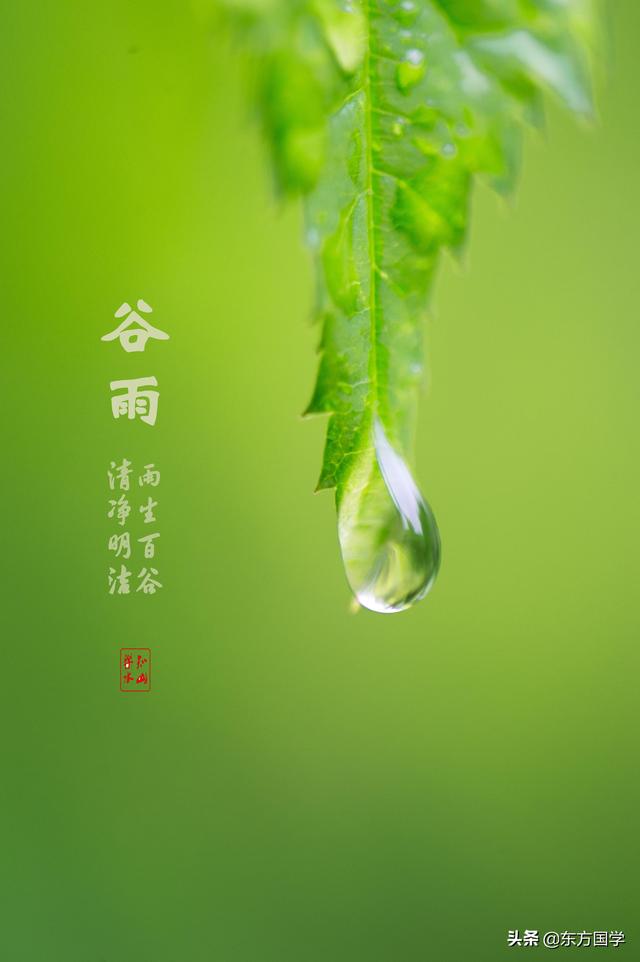 汉字“谷雨”的含义!