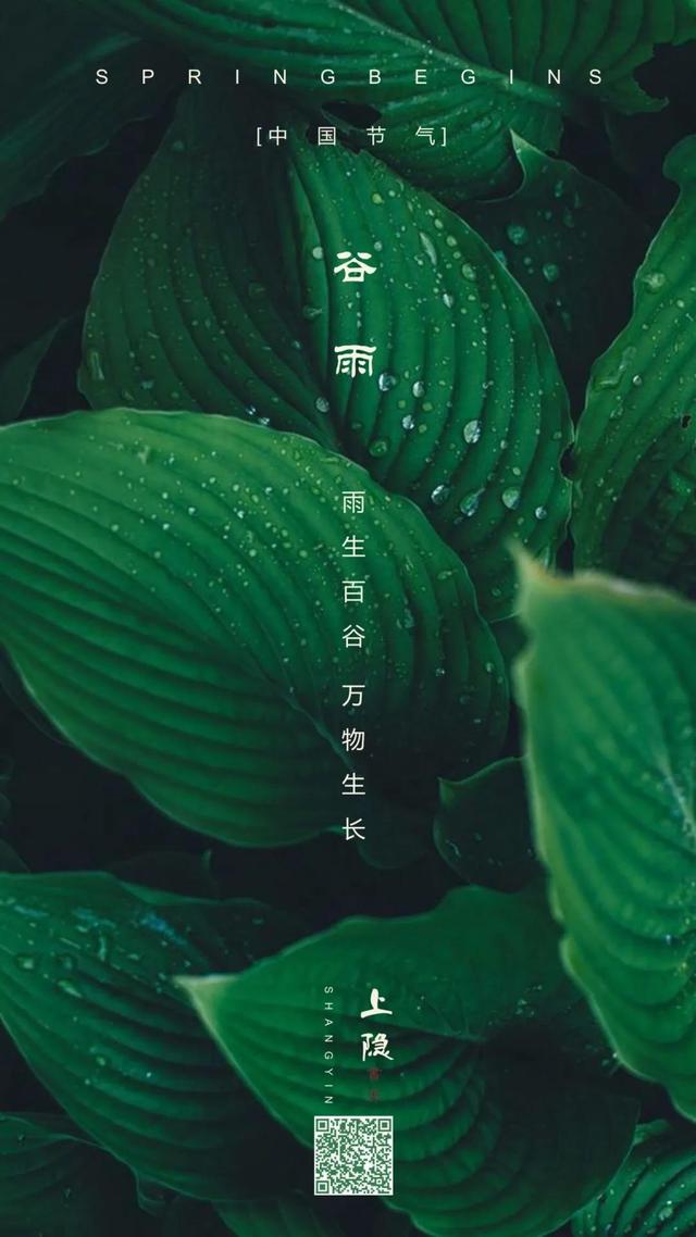 谷雨 | 下一个春天 再见！