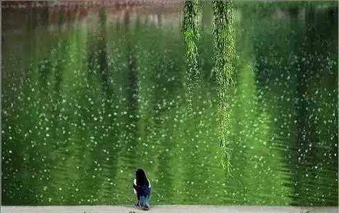 谷雨 | 下一个春天 再见!