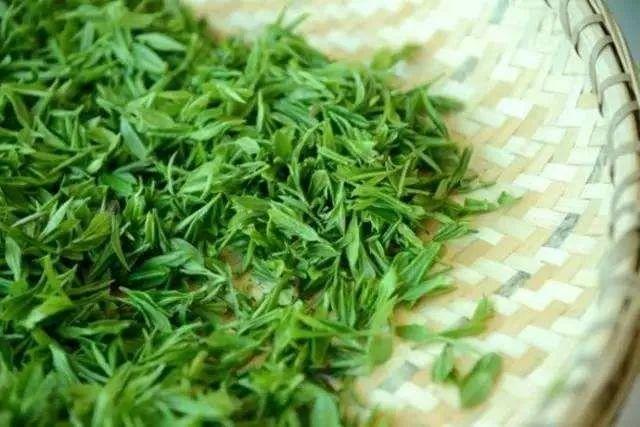 谷雨 | 下一个春天 再见!