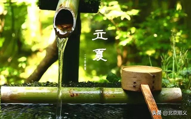 明日立夏,这些讲究和养生知识点全在里边~