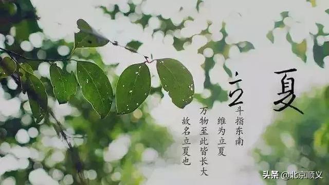 明日立夏，这些讲究和养生知识点全在里边~