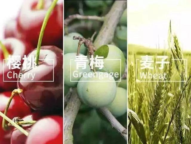 明日立夏!最全的立夏常识看这里!!绝对涨知识!!!