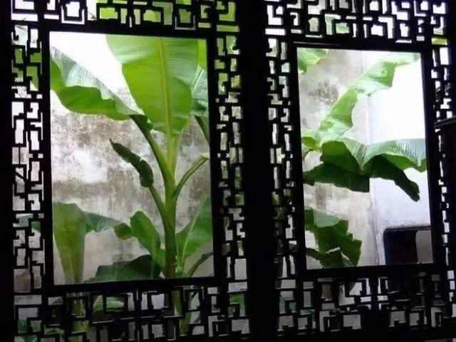 明日立夏!最全的立夏常识看这里!!绝对涨知识!!!