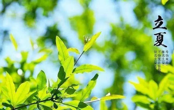 明日立夏!最全的立夏常识看这里!!绝对涨知识!!!