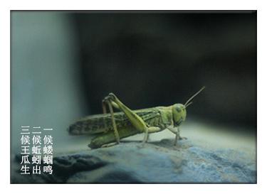关于立夏，这8件事你必须知道