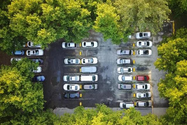 上海召开全市道路交通安全工作会议：“一网统管”赋能超大城市交通治理