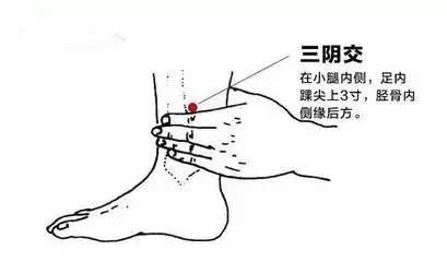 人老腿先衰,腿衰足先寒,我们就来一起了解一下脚踝部的三阴交穴