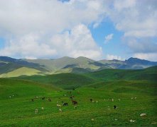 什么是“高原高山气候”