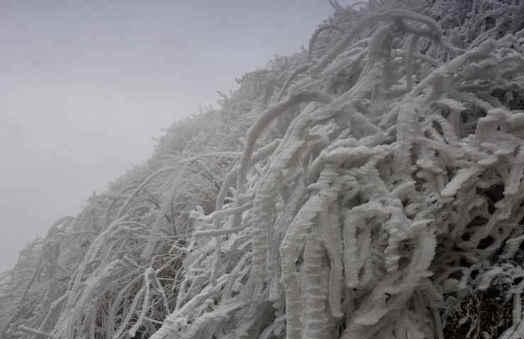 “高寒山区”定义是怎样的