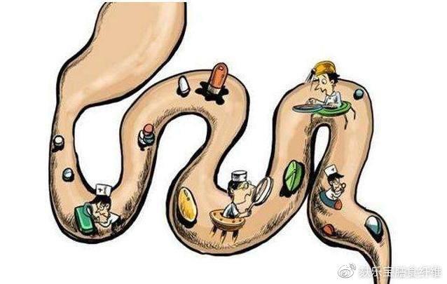 肠道健康,人就长寿!符合以下条件,说明你的肠道超级健康