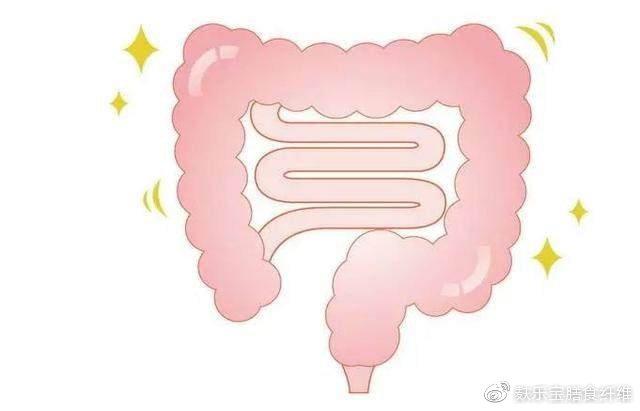 肠道健康,人就长寿!符合以下条件,说明你的肠道超级健康