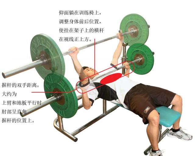 全身各部位基础力量训练,附带器械正确使用描述,健身小白练起来