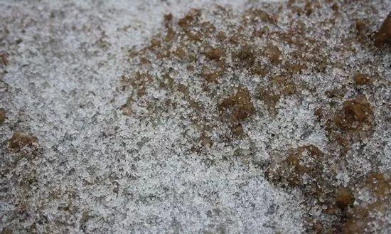 气象科普 | 冰雹?霰?米雪?冰粒?