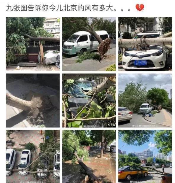 【今日中国】大风来袭!防“风”险妙招不可少