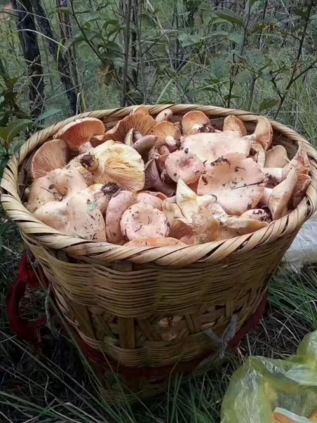 云南人最爱的十道美食,有些美食只有云南人才懂