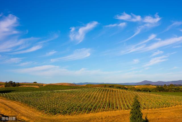 世界葡萄酒的圣地，美国加州纳帕谷，一个让酒鬼也不能拒绝的地方