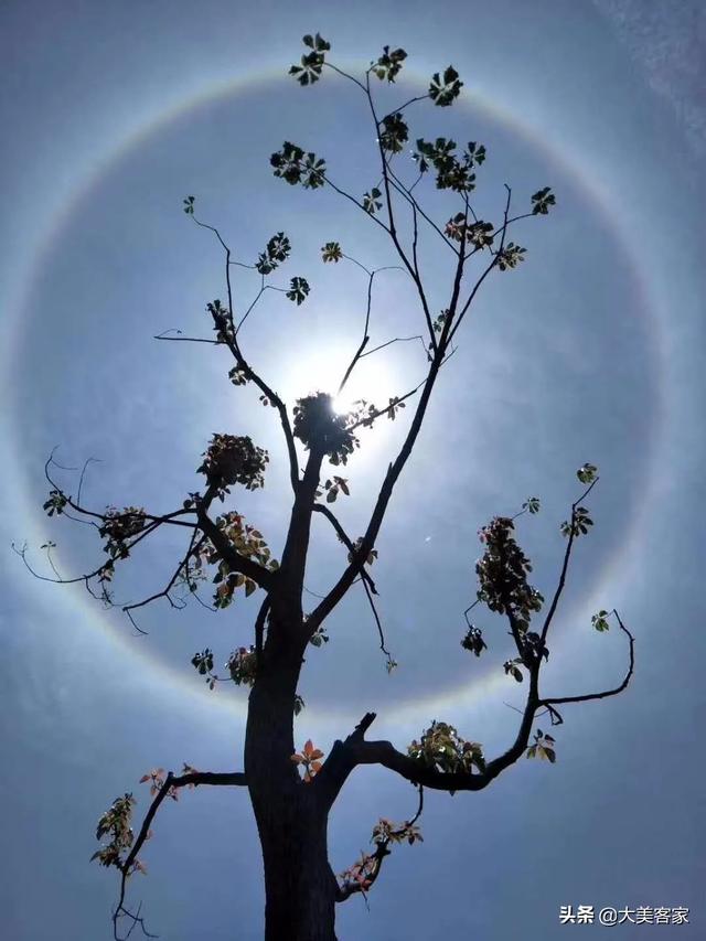 梅州多地出现“日晕”，这样的太阳你见过吗？