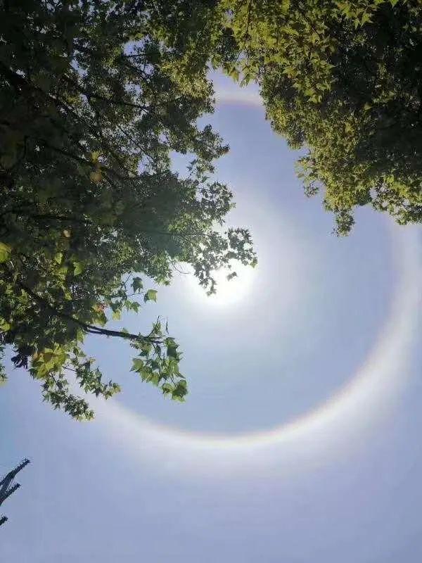 河源天空惊现罕见“日晕”奇观!刷爆朋友圈的它究竟是怎么来的?
