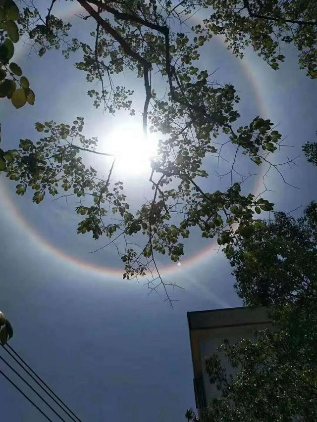 河源天空惊现罕见“日晕”奇观!刷爆朋友圈的它究竟是怎么来的?