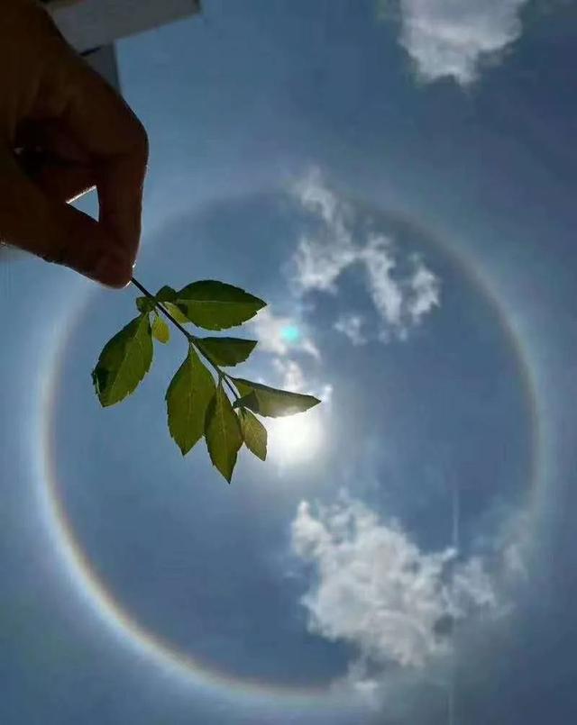 河源天空惊现罕见“日晕”奇观!刷爆朋友圈的它究竟是怎么来的?
