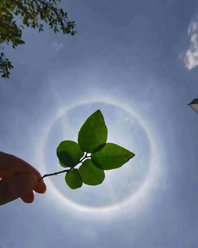 河源天空惊现罕见“日晕”奇观!刷爆朋友圈的它究竟是怎么来的?