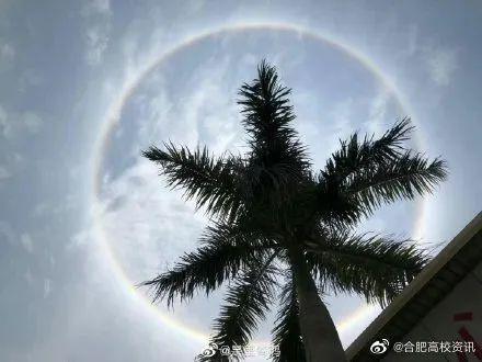 全国多地上演日晕奇观!拍照的网友太皮了