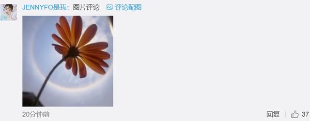 全国多地上演日晕奇观!拍照的网友太皮了