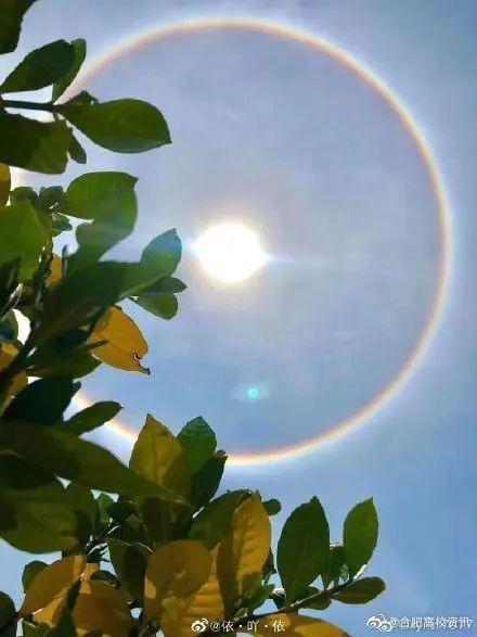全国多地上演日晕奇观!拍照的网友太皮了