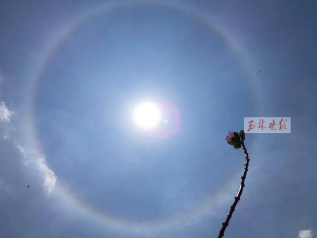 超美!今天,玉林天空出现“日晕”,你看到了吗?