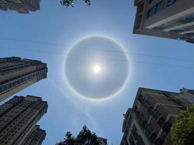 画个圈圈祝福你!刷爆朋友圈的“日晕”,你看到了吗?