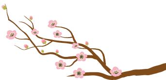 「微讲堂」又双叒叕到了多雾季节,雾天安全行车小知识学起来!