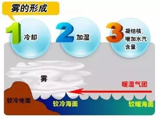 「科普」大雾弥漫,这些知识你未必知道!