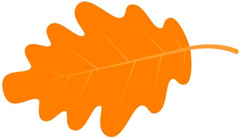 「翼族知识」秋冬大雾对航班有何影响?