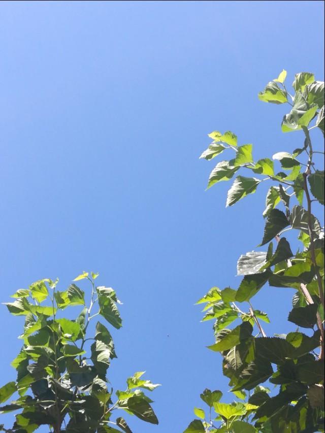 这些天气常识,信不信,你就试试看。