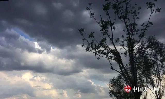 天空又出奇妙天象！雨幡了解吗？