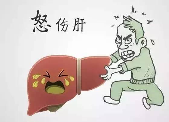 这些伤肝的生活方式,你占了哪几样?