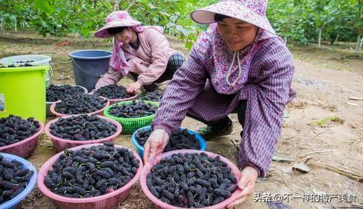 来新疆一定要吃这5种特色美食,正宗的新疆味,外地人都想尝尝