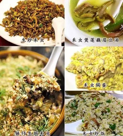 看饿了!原来中山有这么多特色美食!