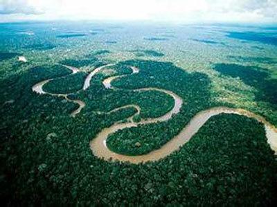 亚马逊森林对气候变化的响应
