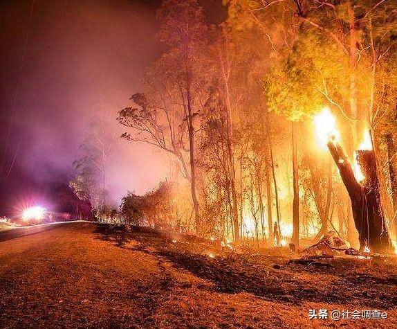 澳洲山火、南极20°、珠峰长草,人类的气候赌局输了吗?
