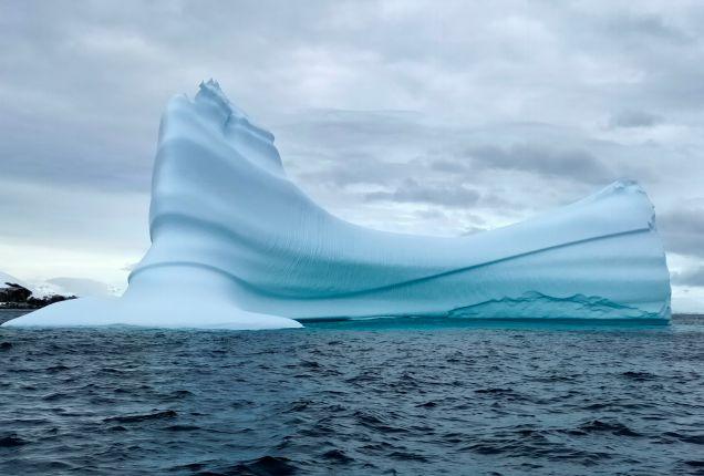 全球气候变暖，南极生态环境面临危机……